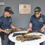 Rinvenute in mare [VIDEO], dalla Guardia di Finanza armi da guerra