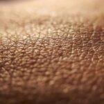 Pelle a rischio con clima estremo e inquinamento crescente