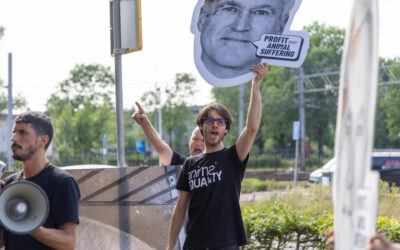 Minacce agli attivisti Animal Equality durante protesta in Olanda