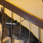 Operazione “San Sabino”[VIDEO], 11 misure cautelari in Puglia