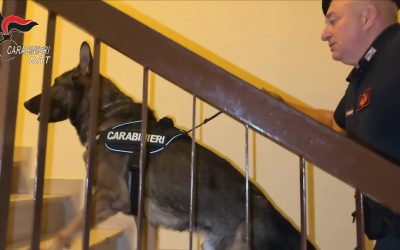 Operazione “San Sabino”[VIDEO], 11 misure cautelari in Puglia