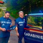 Sequestri NAS Bologna: cibi scaduti e topi nei rifugi montani