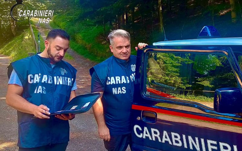 Sequestri NAS Bologna: cibi scaduti e topi nei rifugi montani