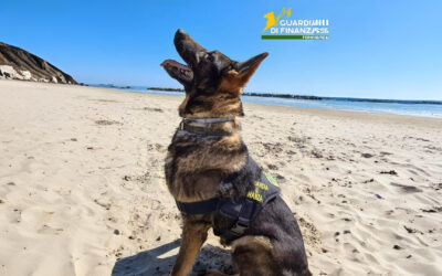 Morto Fancy, il cane antidroga simbolo della Finanza