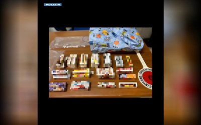 Maxi blitz antidroga, 12 arresti e sequestri per un milione
