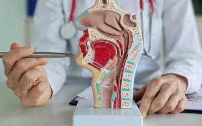 Carcinoma rinofaringeo, Ue approva tislelizumab più chemioterapia in prima linea