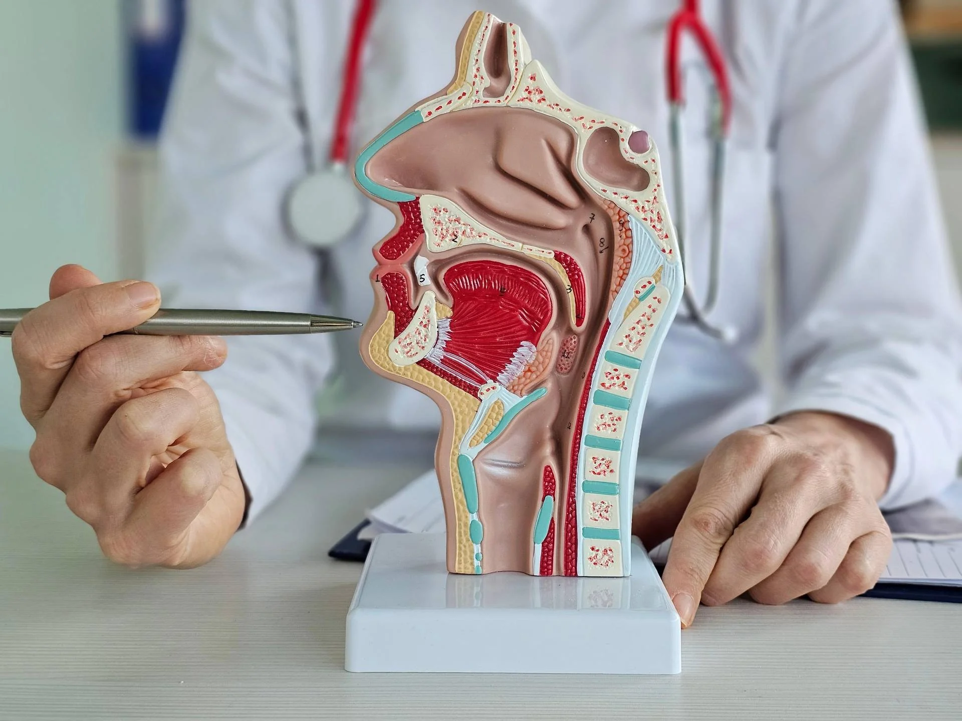 Carcinoma rinofaringeo, Ue approva tislelizumab più chemioterapia in prima linea