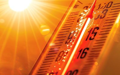 Caldo estremo in arrivo, fino a 40 gradi in molte città