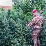 Maxi sequestro di droga e armi tra Stilo e Monasterace