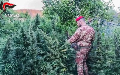 Maxi sequestro di droga e armi tra Stilo e Monasterace