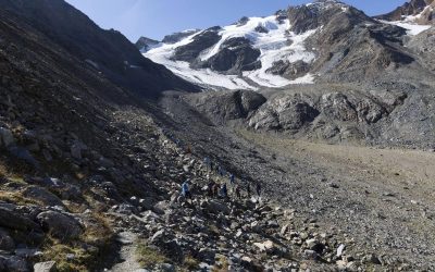Ghiacciaio Solda perde 26 metri nel 2025