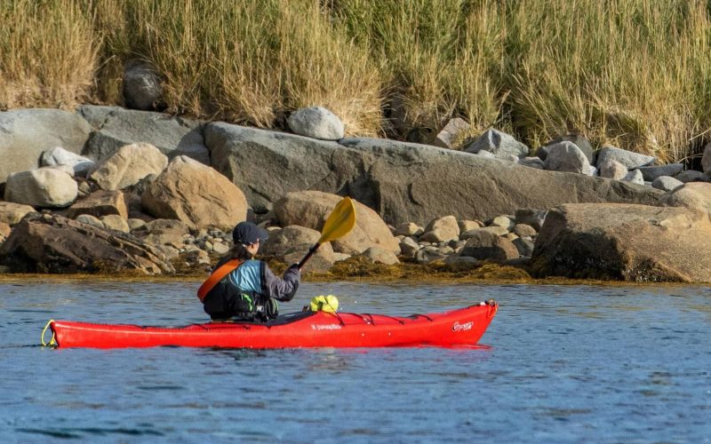Si finge morto per amore: uomo condannato a 3 mesi