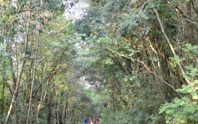 Passeggiate Poetiche 2025: Natura e Cultura al Circeo