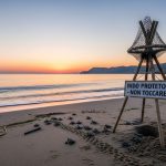 Tartarughe Caretta caretta: nuovo nido e 23 nascite nel Lazio