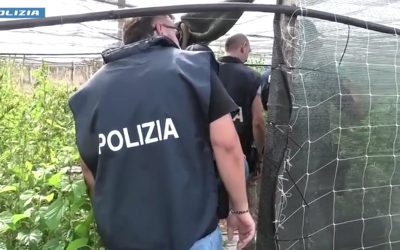 Arrestato a cisterna uomo per spaccio e coltivazione di droga
