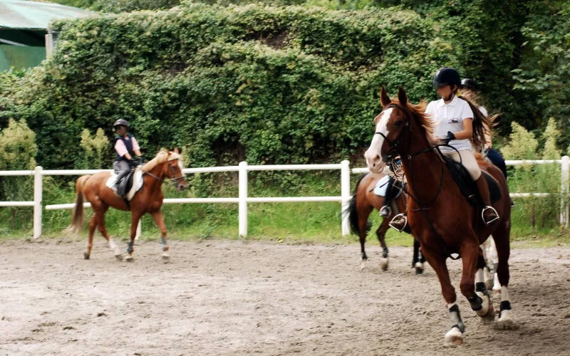 Milano, abusi su allieve minorenni: arrestato istruttore di equitazione