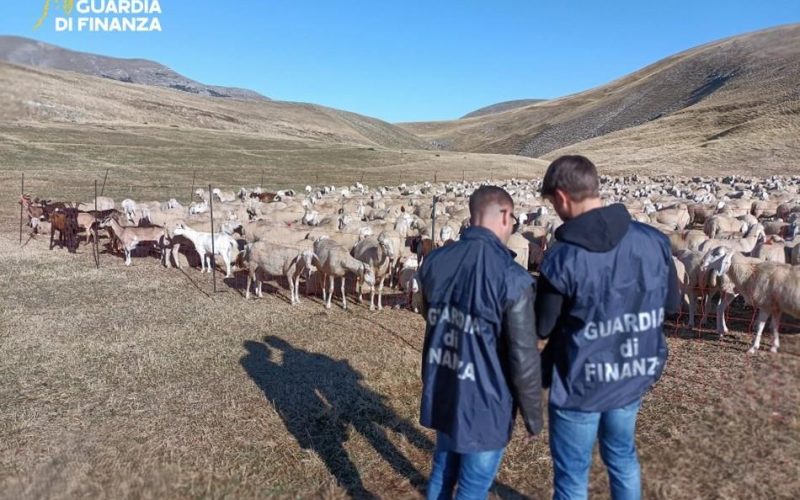 Frode alla PAC, sequestrati 17 milioni a 48 imprenditori