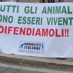 Animalisti in catene contro lo sterminio, Lazio sotto accusa