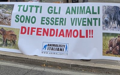Animalisti in catene contro lo sterminio, Lazio sotto accusa