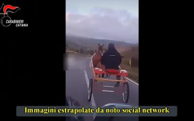 Competizioni clandestine a cavallo, sequestro a Catania