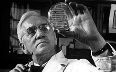Anniversario Nobel Fleming, 80 anni dalla svolta della penicillina