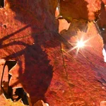 Sole intenso per due giorni, poi il ciclone: precipitazioni diffusive