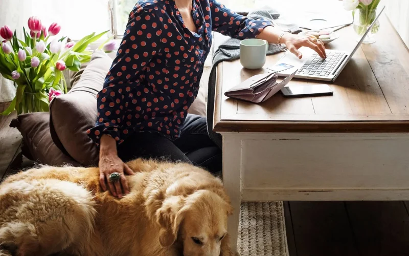 Dalla qualità della vita alla longevità con i cani