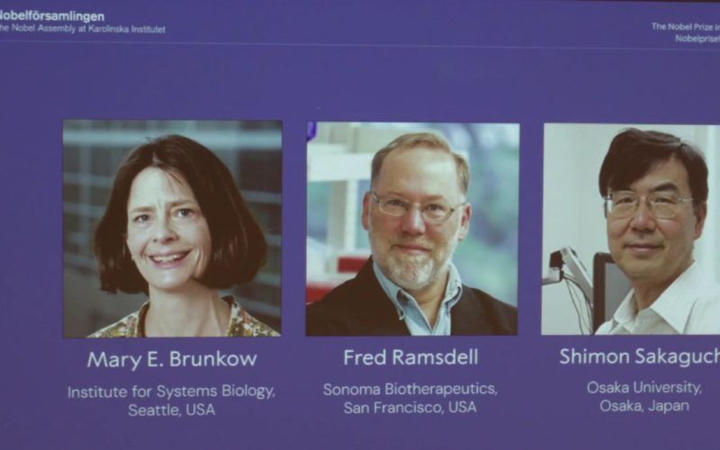 Nobel Medicina 2025: scoperta chiave della ‘security’ immunitaria