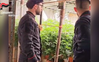 Bunker sotterraneo con serra di marijuana scoperto a Platì