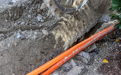 Italia digitale pronta, imprese ferme al bivio futuro