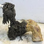 Rna del mammut Yuka rivela geni attivi prima della morte