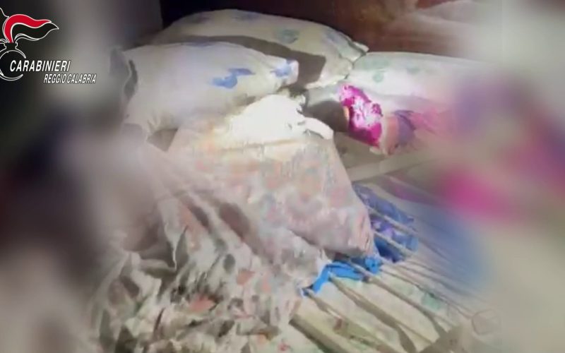 Fiuto del cane [VIDEO] Manco svela droga nascosta a Bianco